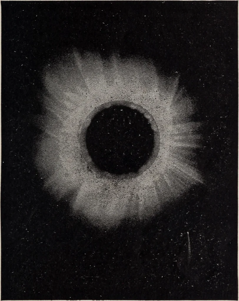 An illustration from Star-land; being talks with young people about the wonders of the heavens, 1899, leaf 56