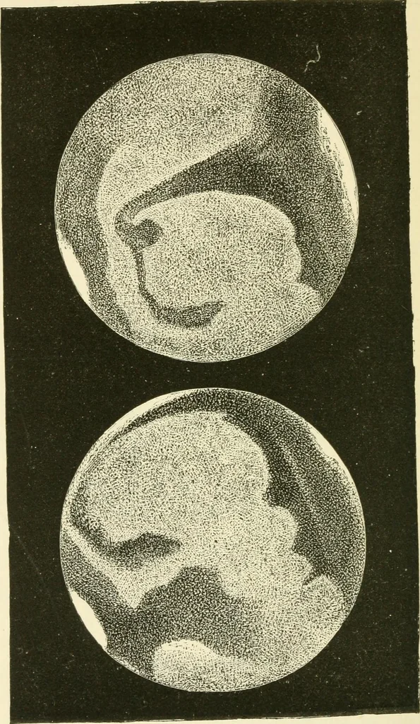 An illustration from Star-land : being talks with young people about the wonders of the heavens, 1891, leaf 193