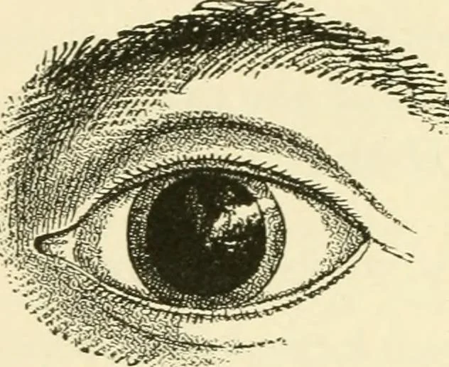 An illustration from Star-land : being talks with young people about the wonders of the heavens, 1891, leaf 203