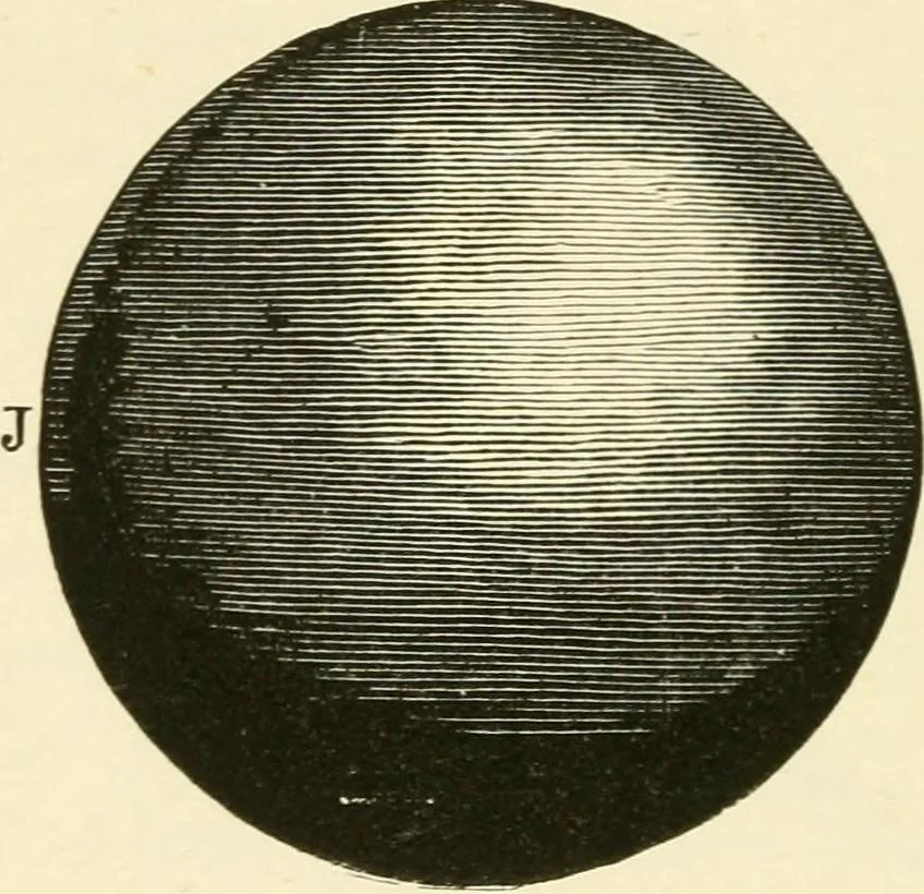 An illustration from Star-land : being talks with young people about the wonders of the heavens, 1891, leaf 215