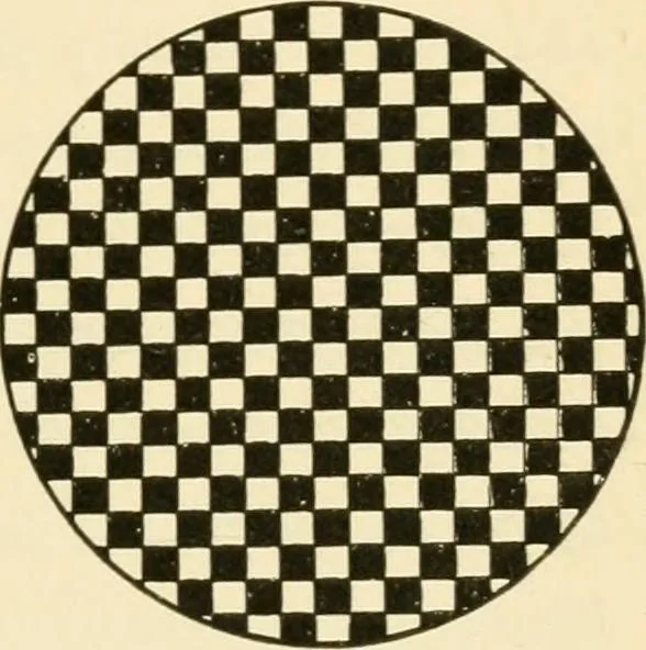 An illustration from Star-land : being talks with young people about the wonders of the heavens, 1891, leaf 234