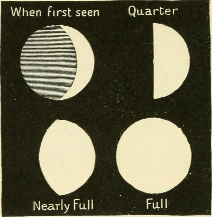 An illustration from Star-land : being talks with young people about the wonders of the heavens, 1891, leaf 89