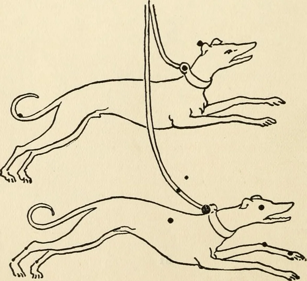 An illustration from Star lore of all ages; a collection of myths, legends, and facts concerning the constellations of the Northern Hemisphere, 1911, leaf 131