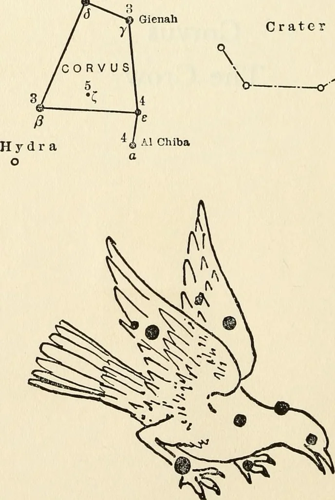 An illustration from Star lore of all ages; a collection of myths, legends, and facts concerning the constellations of the Northern Hemisphere, 1911, leaf 223