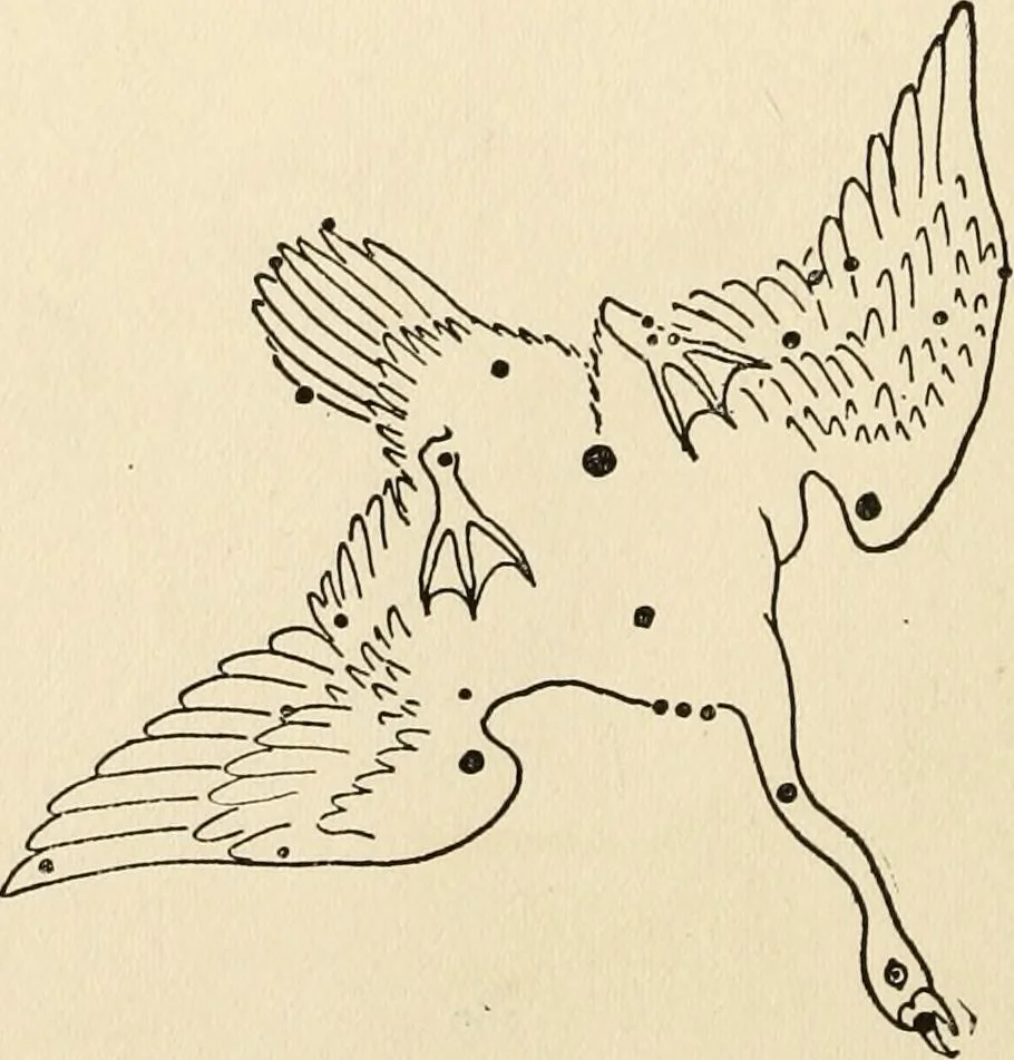 An illustration from Star lore of all ages; a collection of myths, legends, and facts concerning the constellations of the Northern Hemisphere, 1911, leaf 239