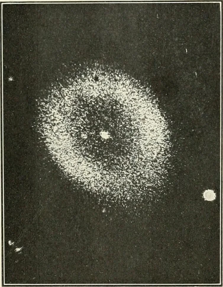 An illustration from Star lore of all ages; a collection of myths, legends, and facts concerning the constellations of the Northern Hemisphere, 1911, leaf 364
