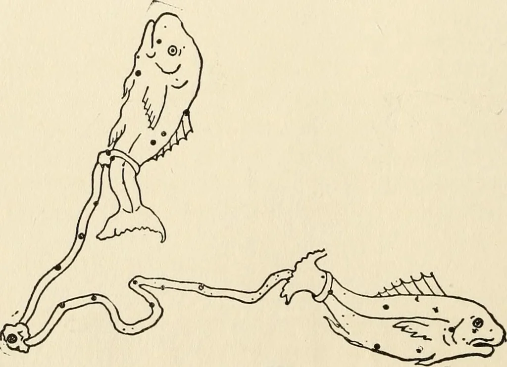 An illustration from Star lore of all ages; a collection of myths, legends, and facts concerning the constellations of the Northern Hemisphere, 1911, leaf 425