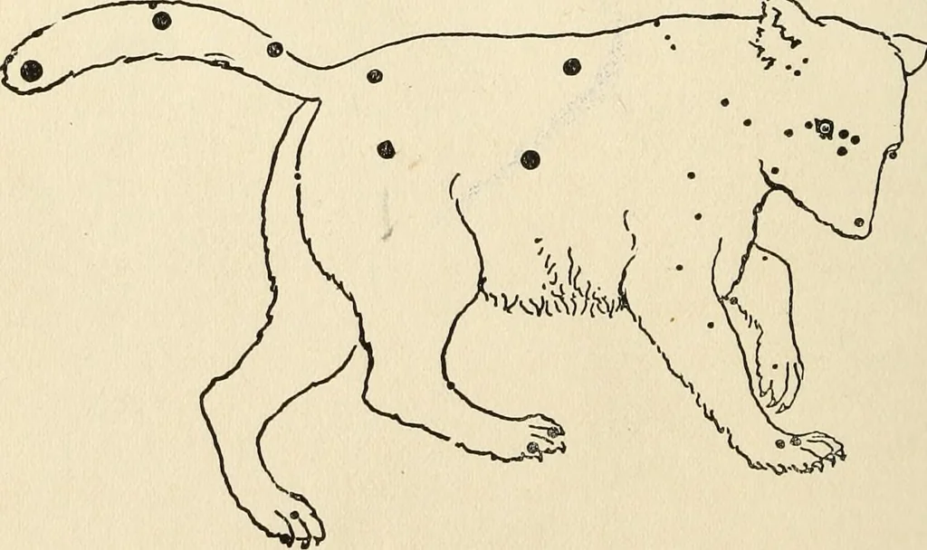 An illustration from Star lore of all ages; a collection of myths, legends, and facts concerning the constellations of the Northern Hemisphere, 1911, leaf 467