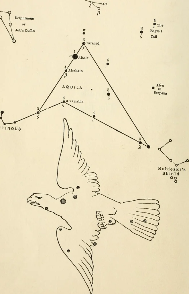 An illustration from Star lore of all ages; a collection of myths, legends, and facts concerning the constellations of the Northern Hemisphere, 1911, leaf 83
