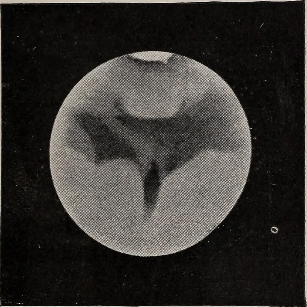 An illustration from The starry skies: or, First lessons on the sun, moon and stars, 1894, leaf 174