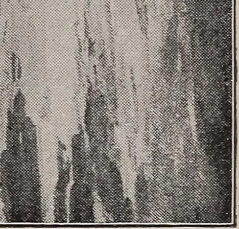 An illustration from The starry skies: or, First lessons on the sun, moon and stars, 1894, leaf 20