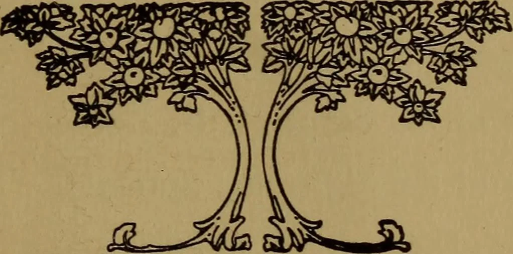 An illustration from Stars of destiny; the ancient science of astrology and how to make use of it today, 1922, leaf 82