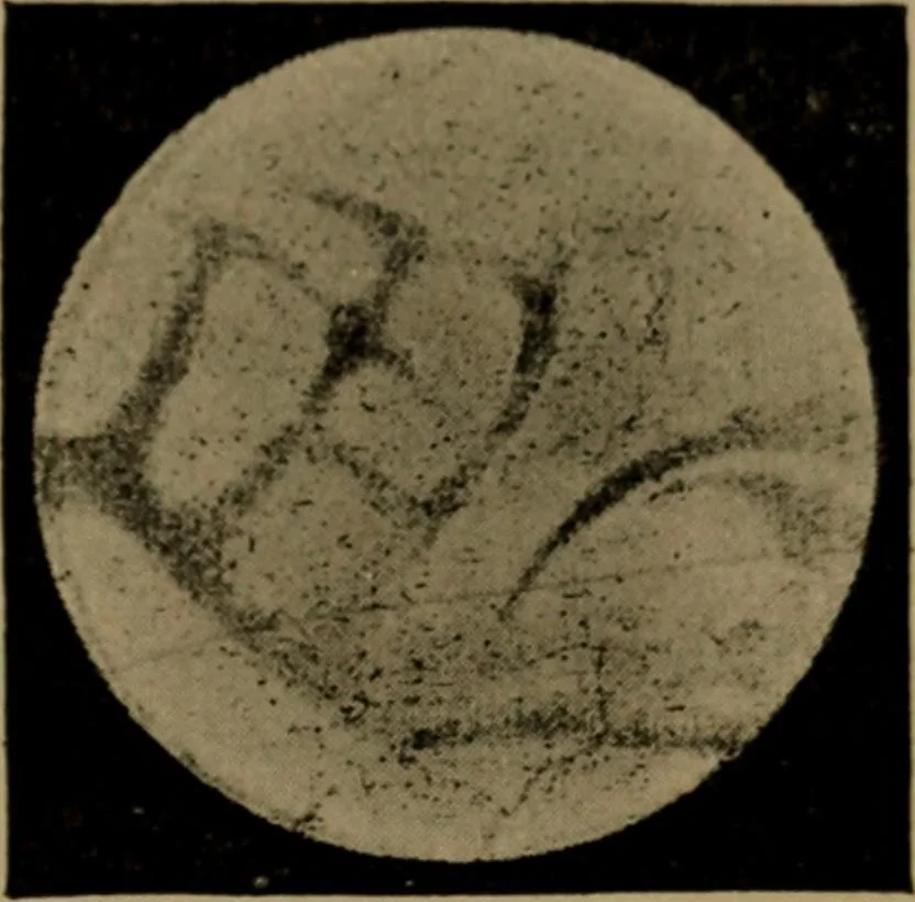 An illustration from Stars and telescopes; a hand-book of popular astronomy, founded on the 9th ed. of Lynn's Celestial motions, 1899, leaf 150
