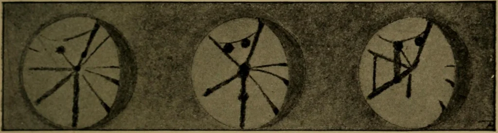 An illustration from Stars and telescopes; a hand-book of popular astronomy, founded on the 9th ed. of Lynn's Celestial motions, 1899, leaf 154