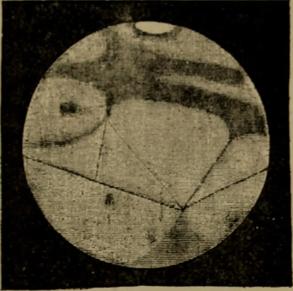 An illustration from Stars and telescopes; a hand-book of popular astronomy, founded on the 9th ed. of Lynn's Celestial motions, 1899, leaf 158