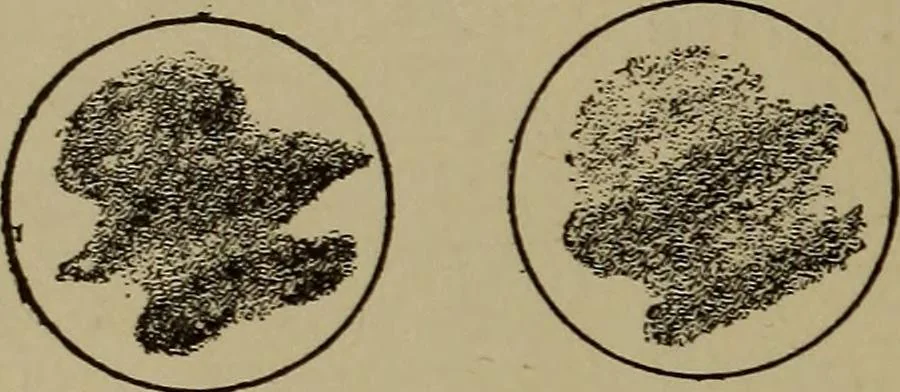 An illustration from Stars and telescopes; a hand-book of popular astronomy, founded on the 9th ed. of Lynn's Celestial motions, 1899, leaf 171