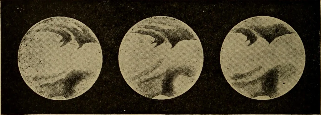 An illustration from Stars and telescopes; a hand-book of popular astronomy, founded on the 9th ed. of Lynn's Celestial motions, 1899, leaf 209