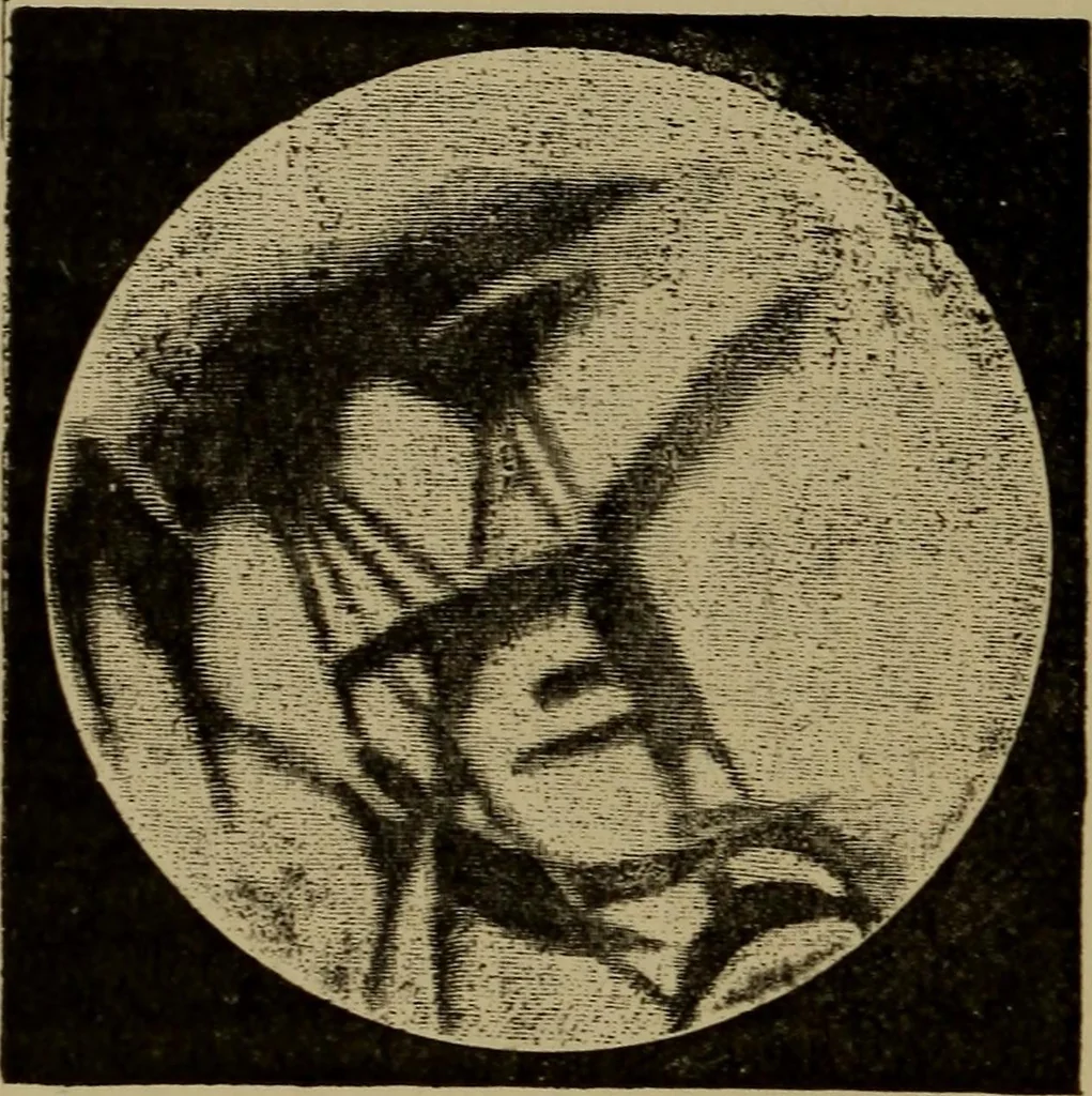 An illustration from Stars and telescopes; a hand-book of popular astronomy, founded on the 9th ed. of Lynn's Celestial motions, 1899, leaf 215