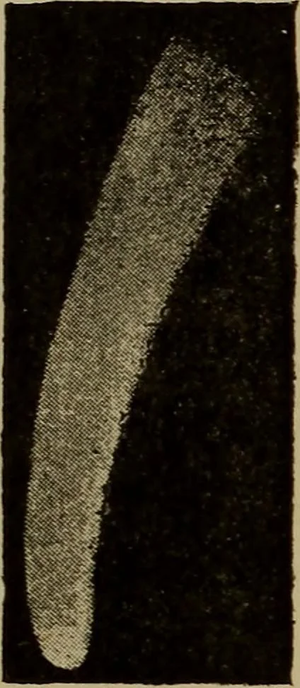 An illustration from Stars and telescopes; a hand-book of popular astronomy, founded on the 9th ed. of Lynn's Celestial motions, 1899, leaf 237