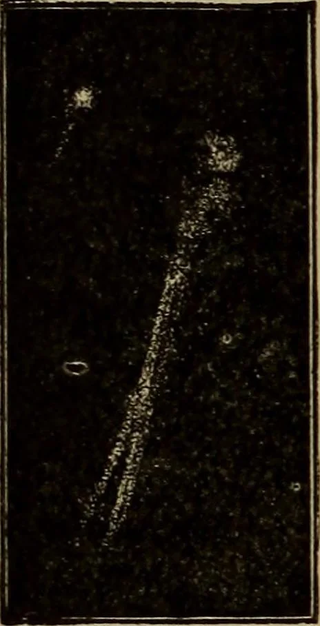 An illustration from Stars and telescopes; a hand-book of popular astronomy, founded on the 9th ed. of Lynn's Celestial motions, 1899, leaf 247