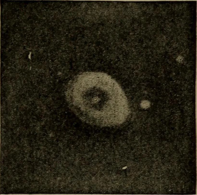 An illustration from Stars and telescopes; a hand-book of popular astronomy, founded on the 9th ed. of Lynn's Celestial motions, 1899, leaf 368