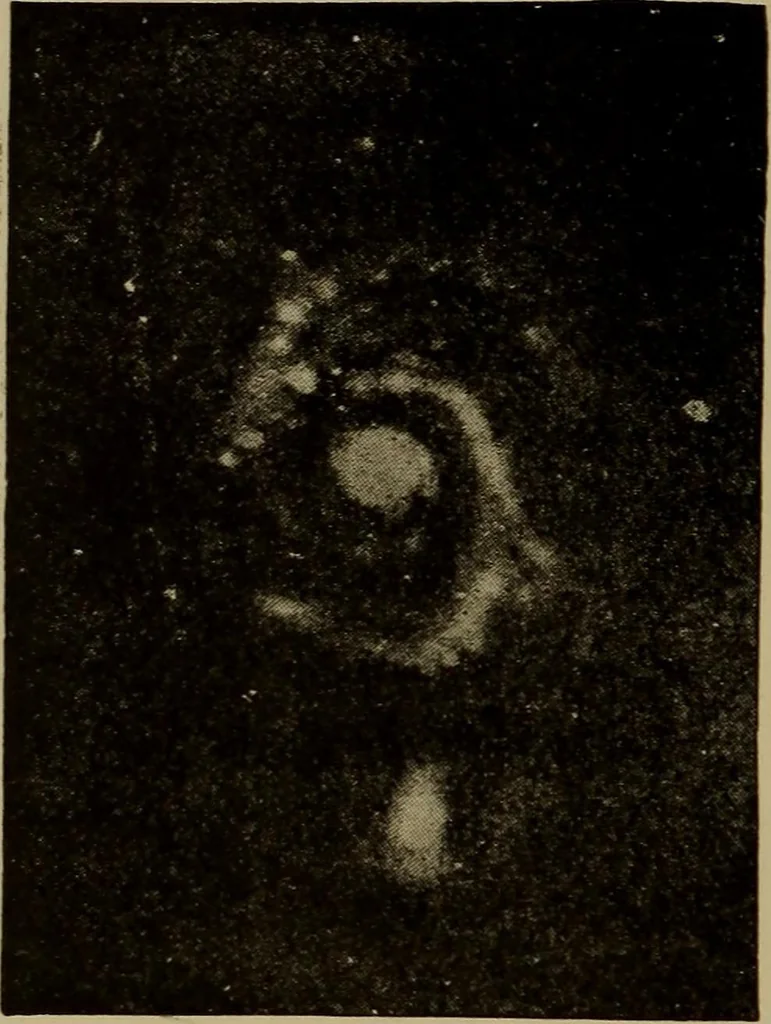 An illustration from Stars and telescopes; a hand-book of popular astronomy, founded on the 9th ed. of Lynn's Celestial motions, 1899, leaf 369