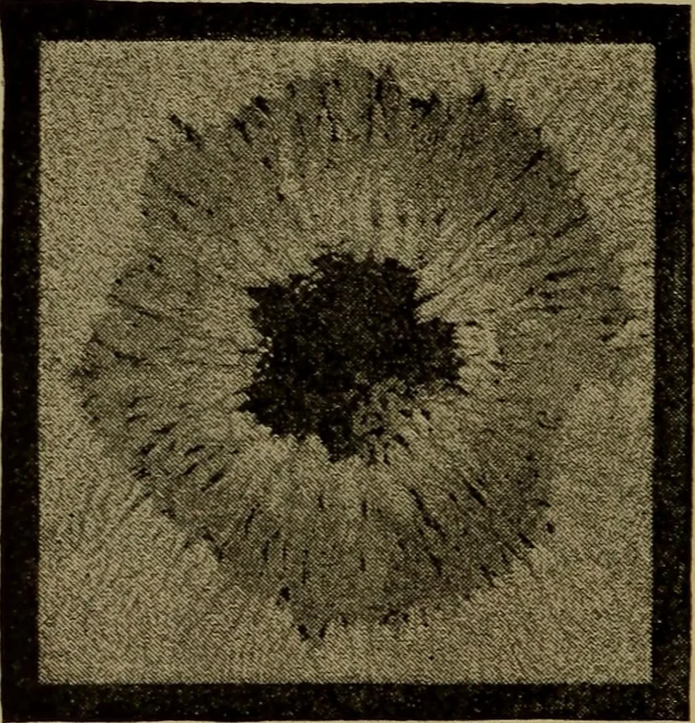 An illustration from Stars and telescopes; a hand-book of popular astronomy, founded on the 9th ed. of Lynn's Celestial motions, 1899, leaf 95