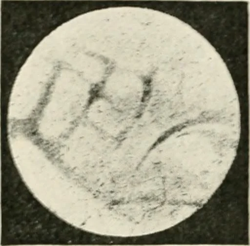 An illustration from Stars and telescopes; a hand-book of popular astronomy founded on the 9th ed. of Lynn's Celestial motions, 1901, leaf 144