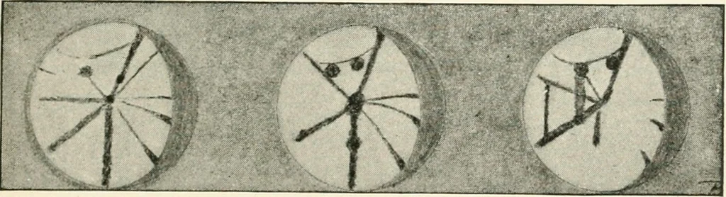 An illustration from Stars and telescopes; a hand-book of popular astronomy founded on the 9th ed. of Lynn's Celestial motions, 1901, leaf 148