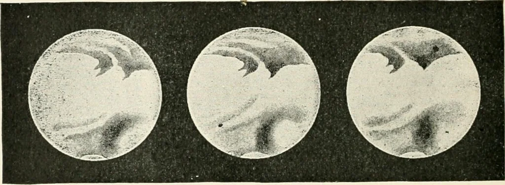 An illustration from Stars and telescopes; a hand-book of popular astronomy founded on the 9th ed. of Lynn's Celestial motions, 1901, leaf 203