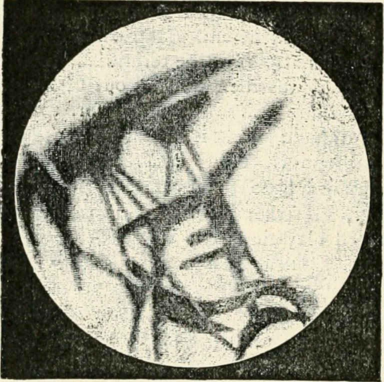 An illustration from Stars and telescopes; a hand-book of popular astronomy founded on the 9th ed. of Lynn's Celestial motions, 1901, leaf 209
