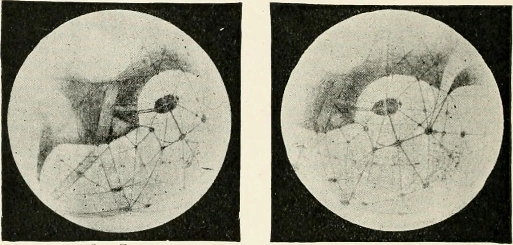 An illustration from Stars and telescopes; a hand-book of popular astronomy founded on the 9th ed. of Lynn's Celestial motions, 1901, leaf 223