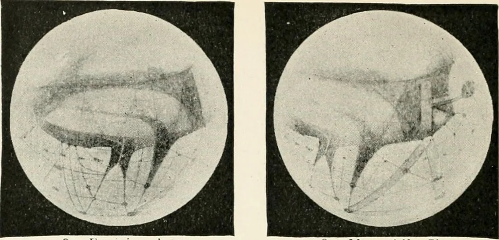 An illustration from Stars and telescopes; a hand-book of popular astronomy founded on the 9th ed. of Lynn's Celestial motions, 1901, leaf 223