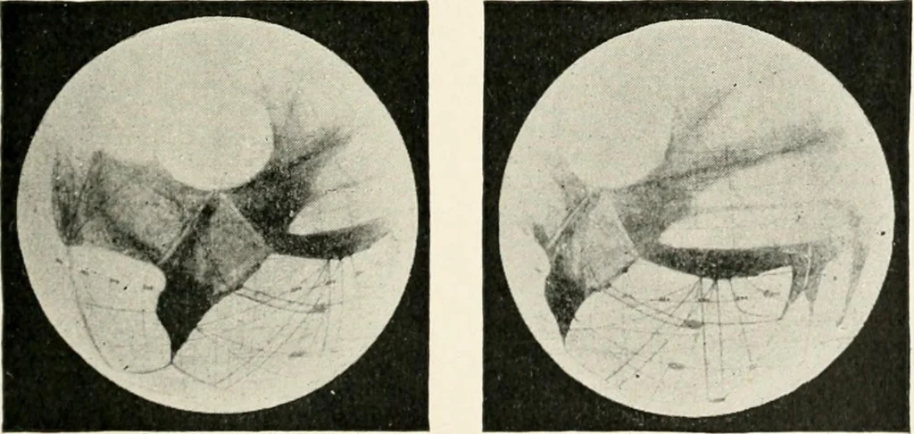 An illustration from Stars and telescopes; a hand-book of popular astronomy founded on the 9th ed. of Lynn's Celestial motions, 1901, leaf 224