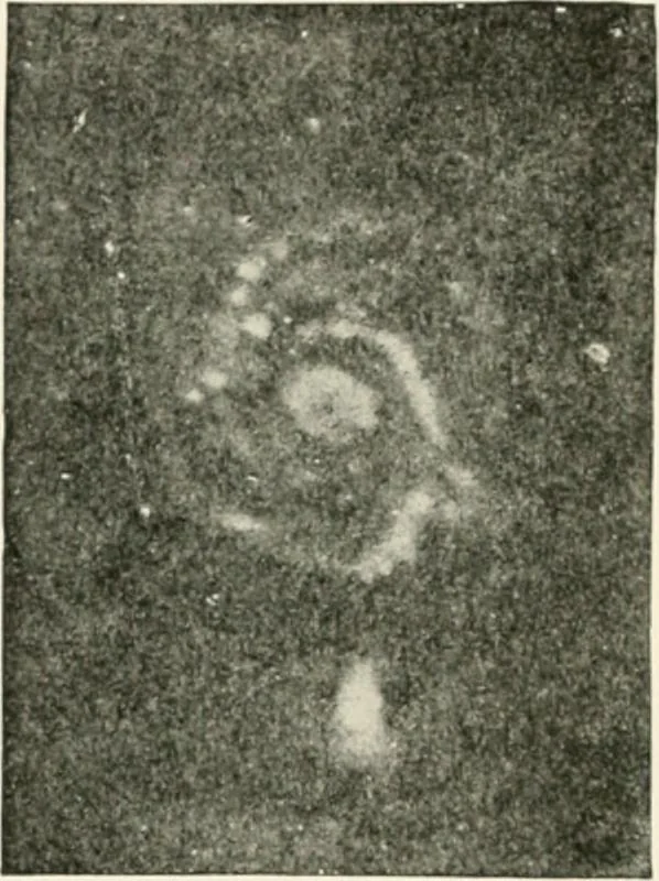 An illustration from Stars and telescopes; a hand-book of popular astronomy founded on the 9th ed. of Lynn's Celestial motions, 1901, leaf 363