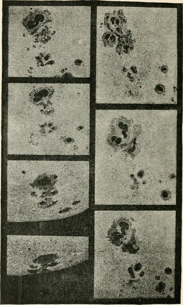 An illustration from Stars and telescopes; a hand-book of popular astronomy founded on the 9th ed. of Lynn's Celestial motions, 1901, leaf 83