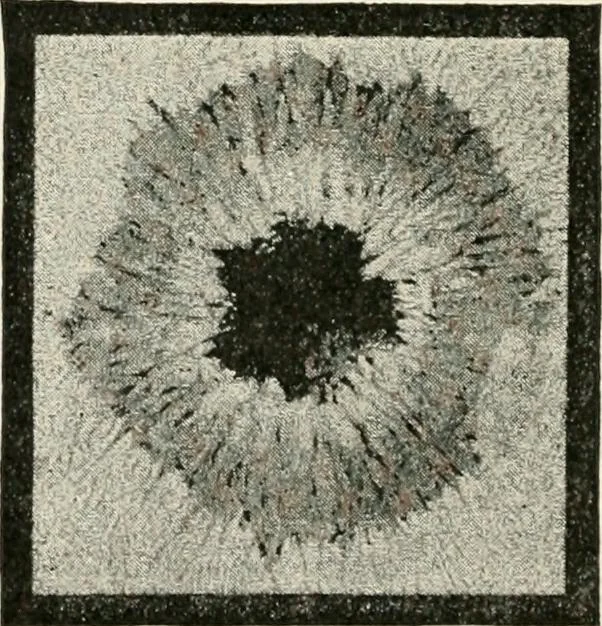 An illustration from Stars and telescopes; a hand-book of popular astronomy founded on the 9th ed. of Lynn's Celestial motions, 1901, leaf 89