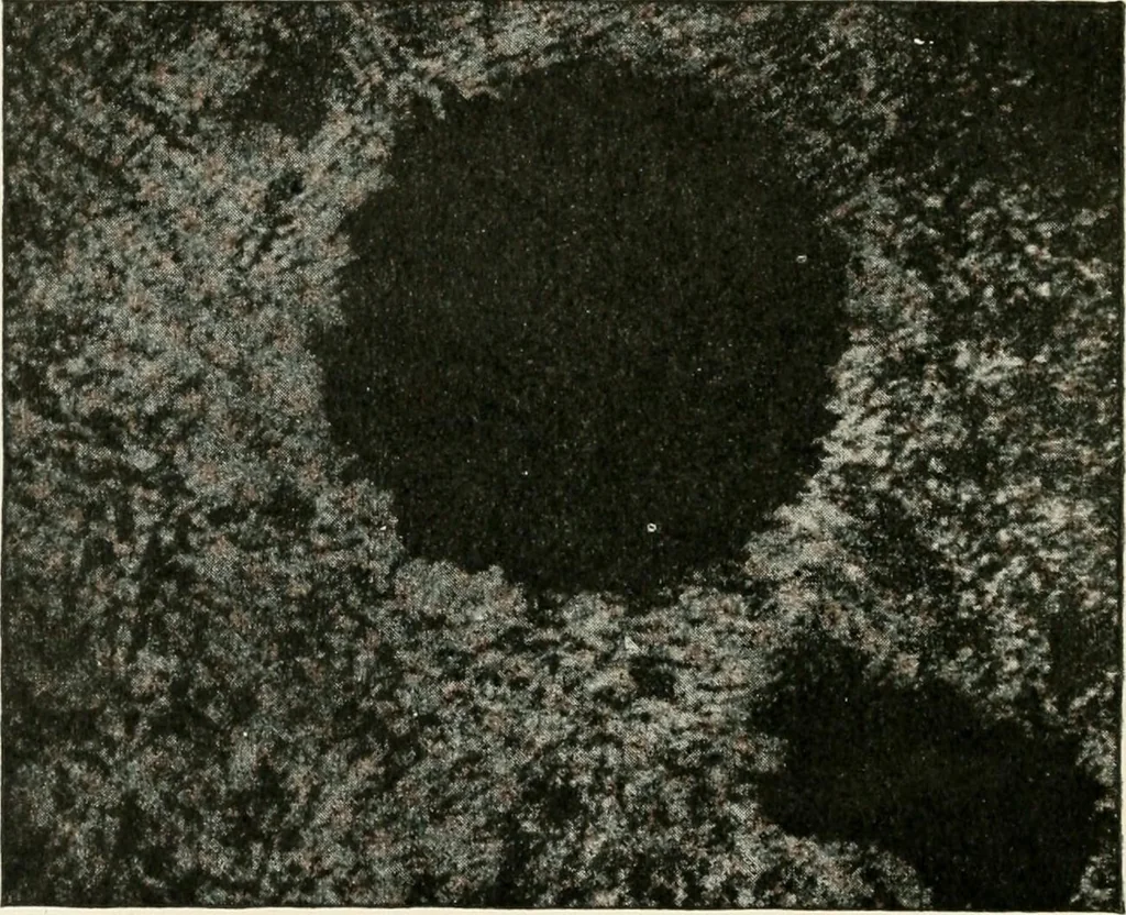 An illustration from Stars and telescopes; a hand-book of popular astronomy founded on the 9th ed. of Lynn's Celestial motions, 1901, leaf 93