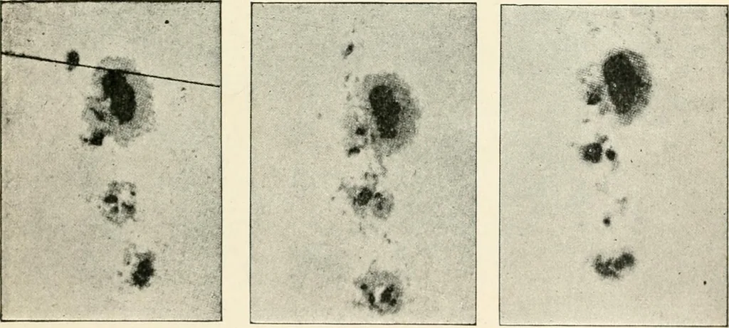 An illustration from Stars and telescopes; a hand-book of popular astronomy founded on the 9th ed. of Lynn's Celestial motions, 1901, leaf 96