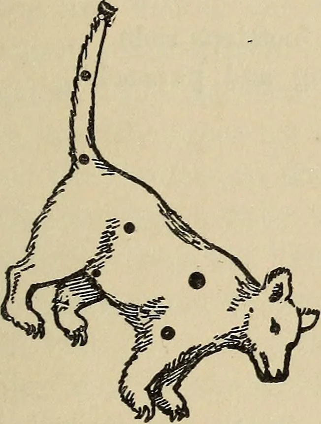 An illustration from The stars and their stories; a book for young people, 1913, leaf 28