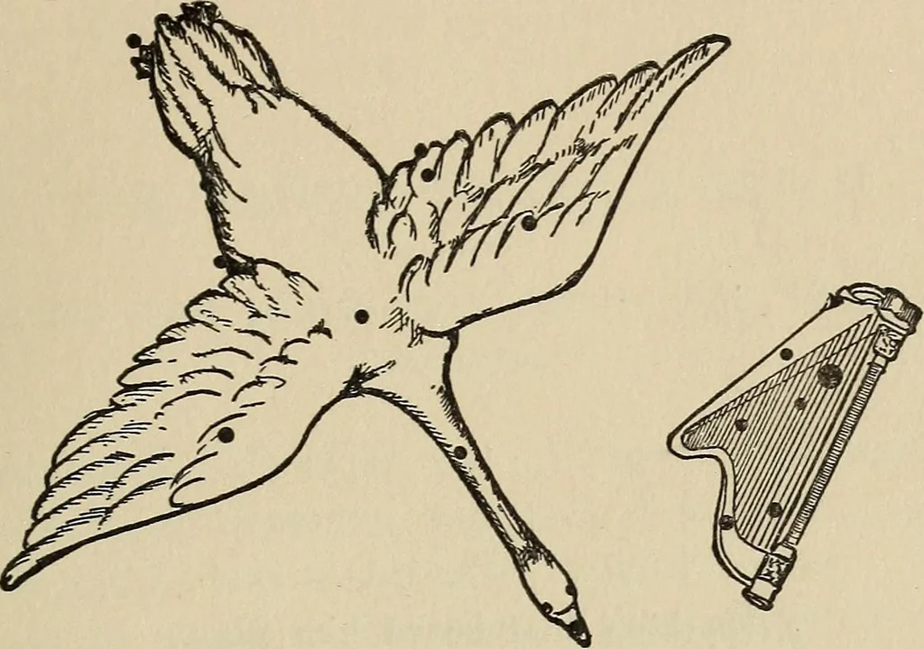 An illustration from The stars and their stories; a book for young people, 1913, leaf 62