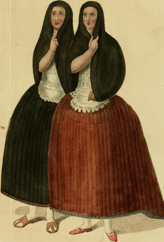 An illustration from The present state of Peru : comprising its geography, topography, natural history, mineralogy, commerce, the customs and manners of its inhabitants, the state of literature, philosophy, and the arts, the modern travels of the missionaries in the heretofore unexplored mountainous territories, &c. &c., 1805, leaf 258