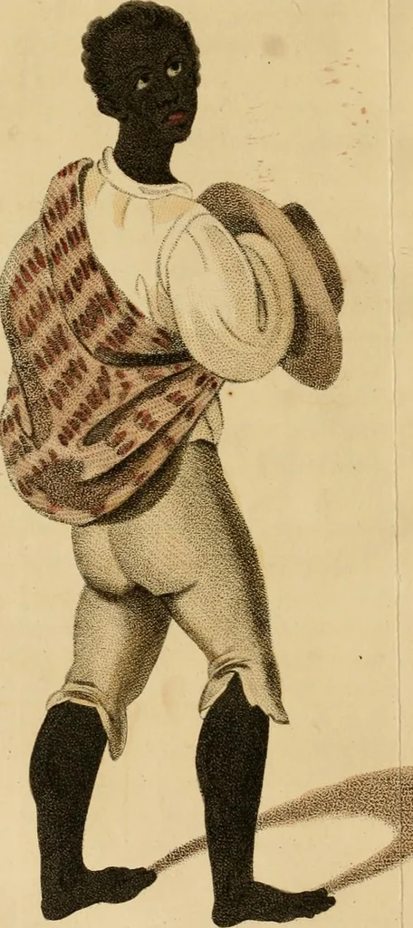 An illustration from The present state of Peru : comprising its geography, topography, natural history, mineralogy, commerce, the customs and manners of its inhabitants, the state of literature, philosophy, and the arts, the modern travels of the missionaries in the heretofore unexplored mountainous territories, &c. &c., 1805, leaf 351