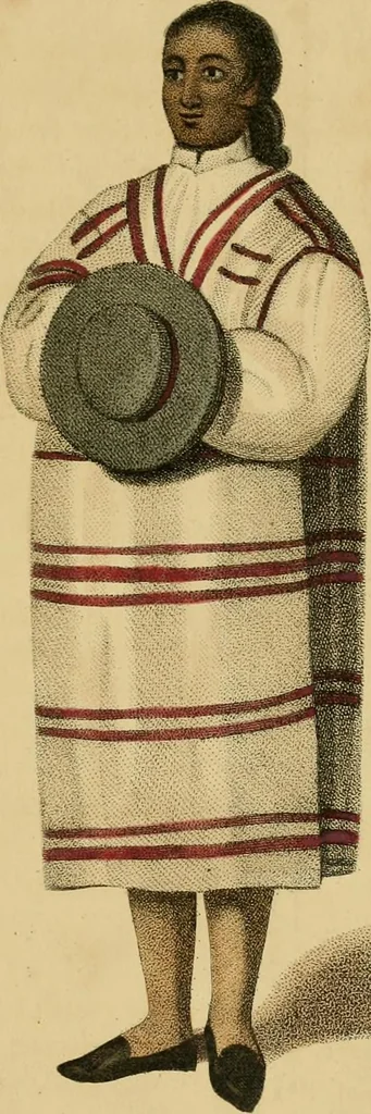 An illustration from The present state of Peru : comprising its geography, topography, natural history, mineralogy, commerce, the customs and manners of its inhabitants, the state of literature, philosophy, and the arts, the modern travels of the missionaries in the heretofore unexplored mountainous territories, &c. &c., 1805, leaf 398