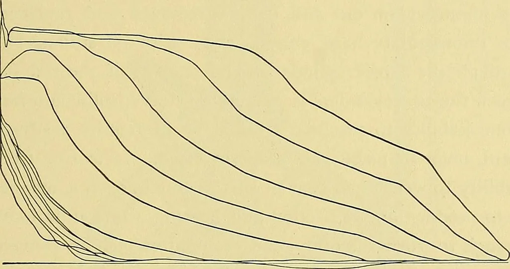 An illustration from Stationary steam engines, simple and compound; especially as adapted to light and power plants, 1899, leaf 232