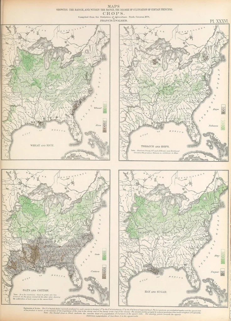 An illustration from Statistical atlas of the United States based on the results of the ninth census 1870 with contributions from many eminent men of science and several departments of the government, 1874, leaf 135