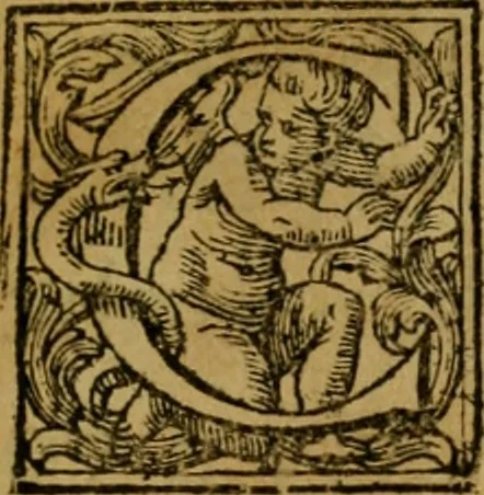 An illustration from Stato della SS. chiesa papale Lateranense nell'anno MDCCXXIII, 1723, leaf 8