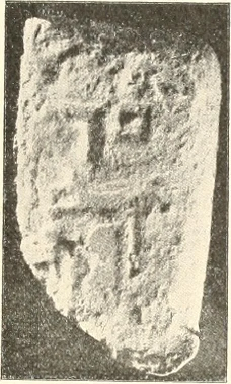 An illustration from Statuen und Statuetten von Königen und Privatleuten im Museum von Kairo, Nr. 1-1294, 1911, leaf 10