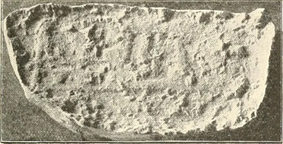 An illustration from Statuen und Statuetten von Königen und Privatleuten im Museum von Kairo, Nr. 1-1294, 1911, leaf 10