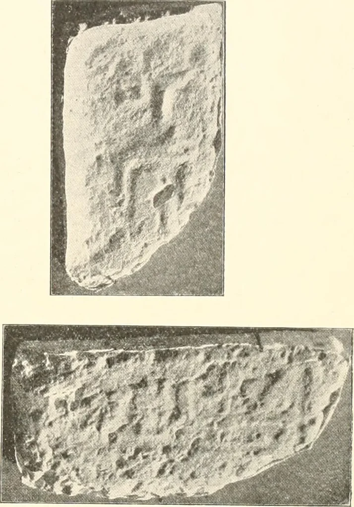 An illustration from Statuen und Statuetten von Königen und Privatleuten im Museum von Kairo, Nr. 1-1294, 1911, leaf 10